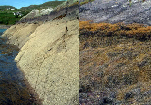 Two shores: A Comparison